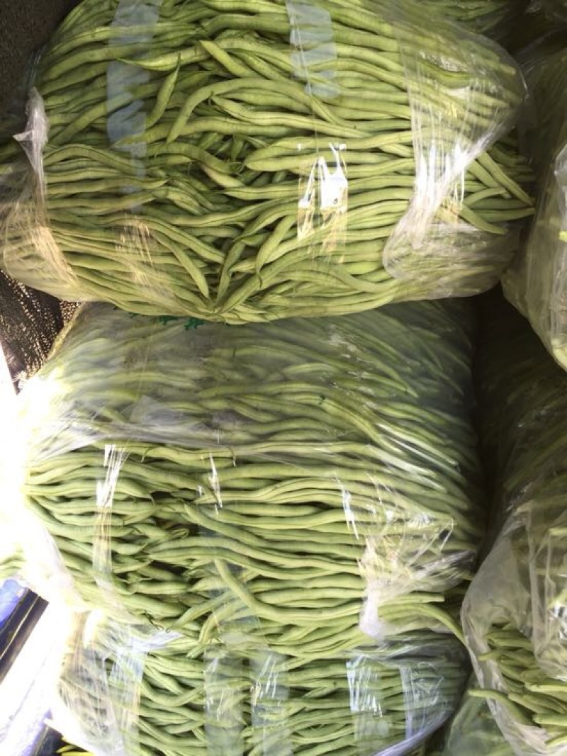蛇豆大量上市欢迎新老客户选购