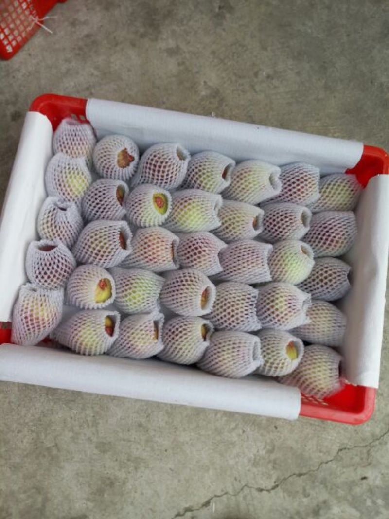 无花果70~80g