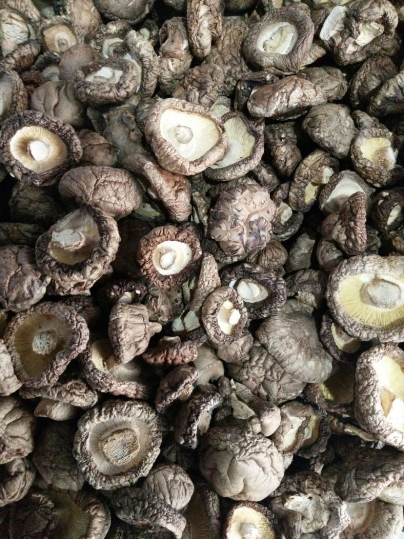 干香菇2.5~3cm