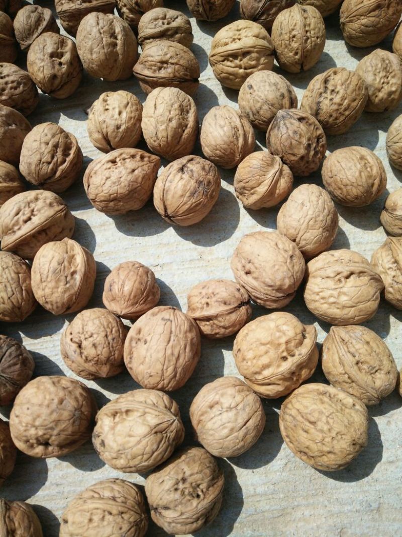 薄皮核桃30mm以上去皮