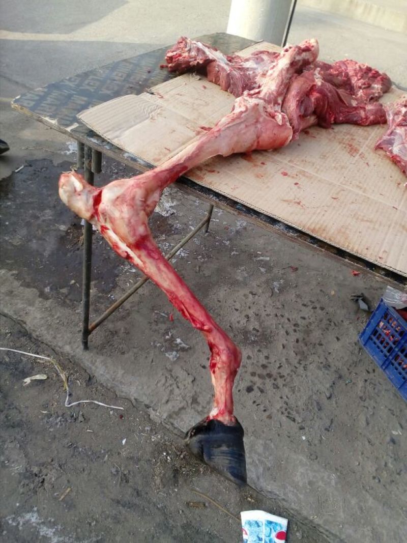 驴肉鲜货