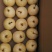 酥梨200~250g筐装