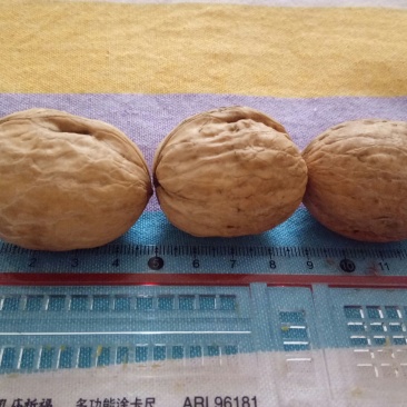薄皮核桃去皮干
