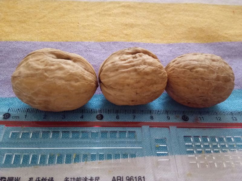 薄皮核桃去皮干