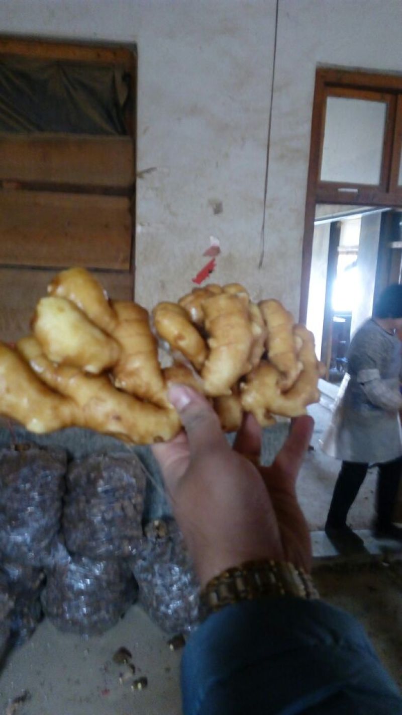 生姜4两以上水洗山东大姜储存鲜姜大量上市