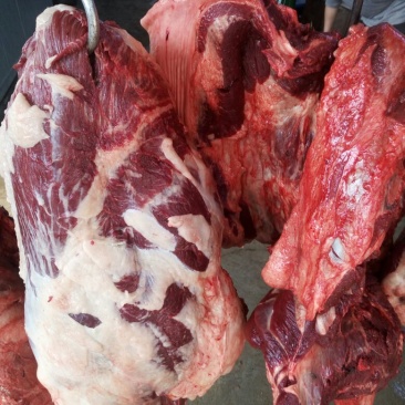 驴肉