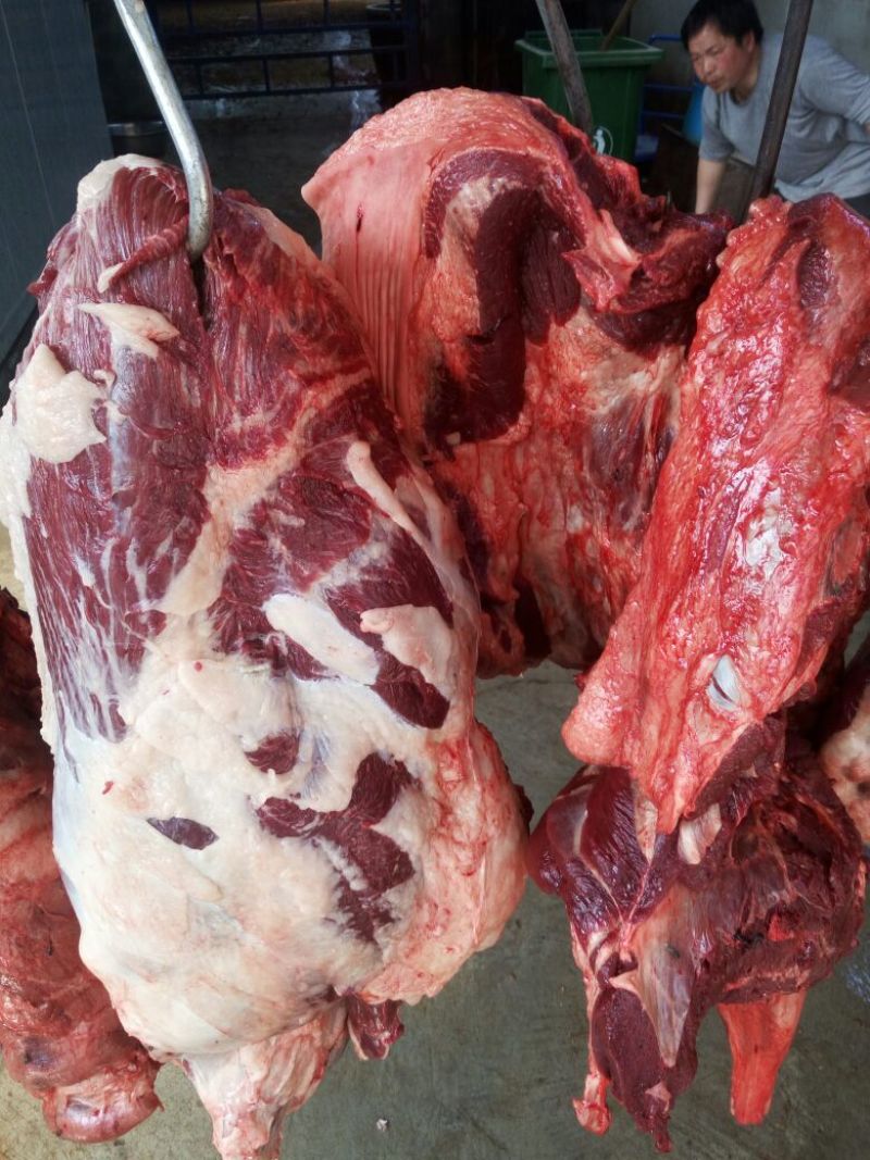 驴肉
