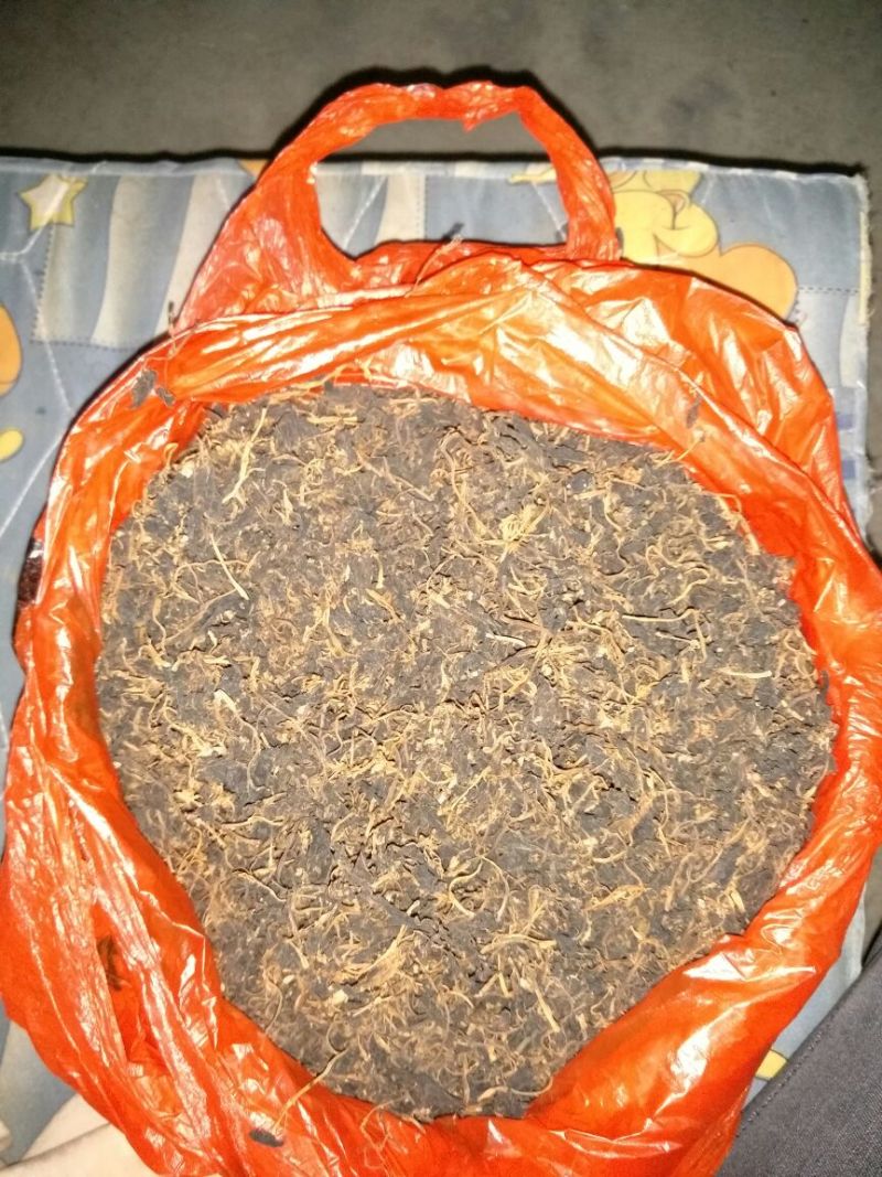 树仔菜