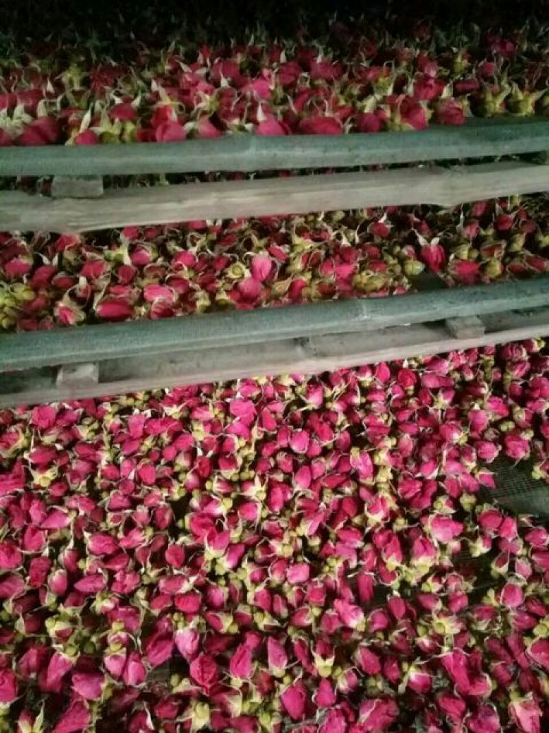 玫瑰花茶