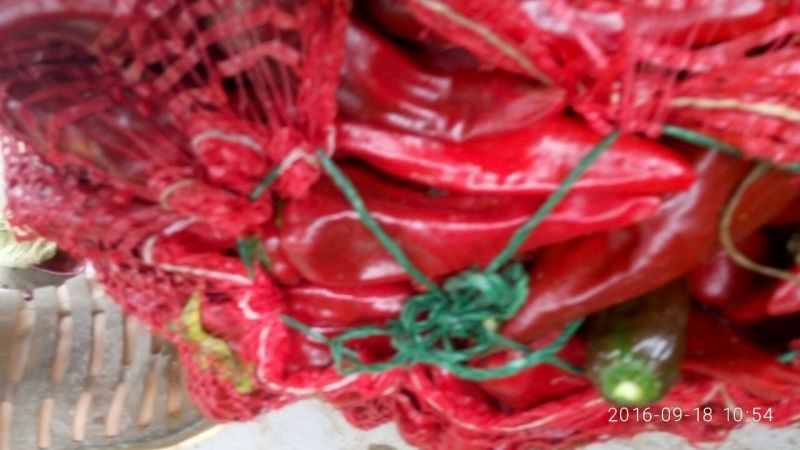 精品红辣椒，基地直销，货源稳定，质量高，辣味足，欢迎下单