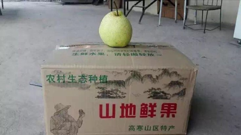 酥梨
