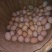 土鸡蛋食用50g以下