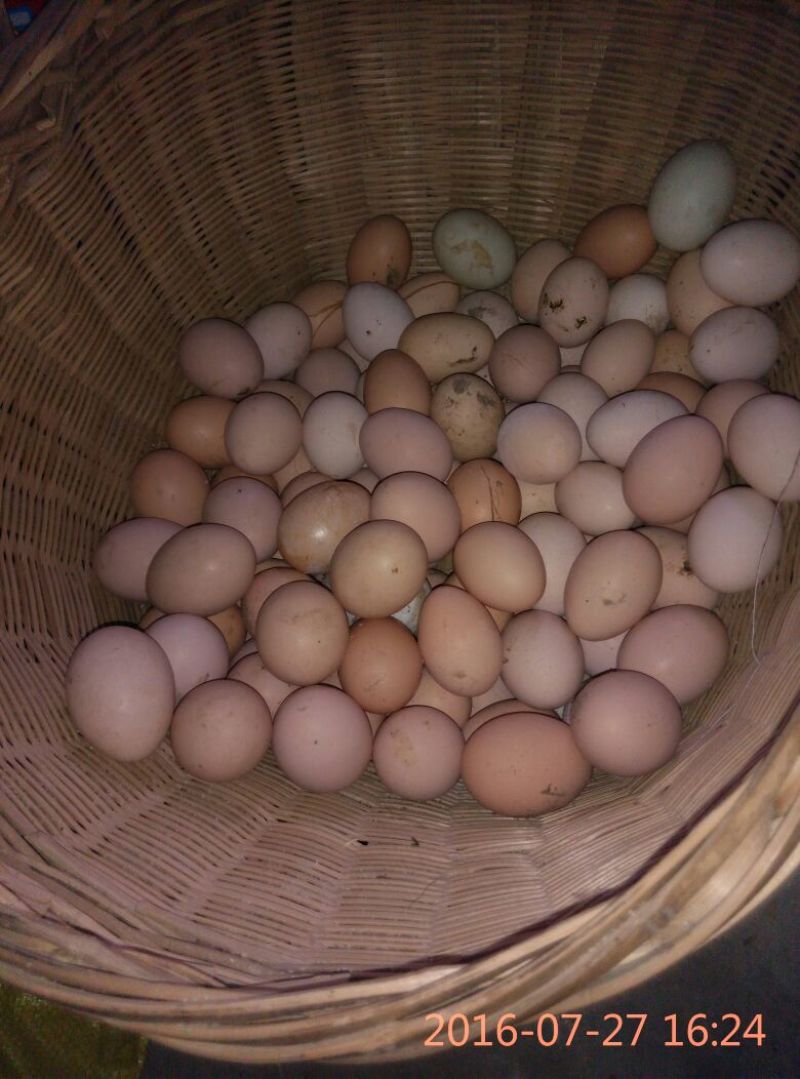 土鸡蛋食用50g以下