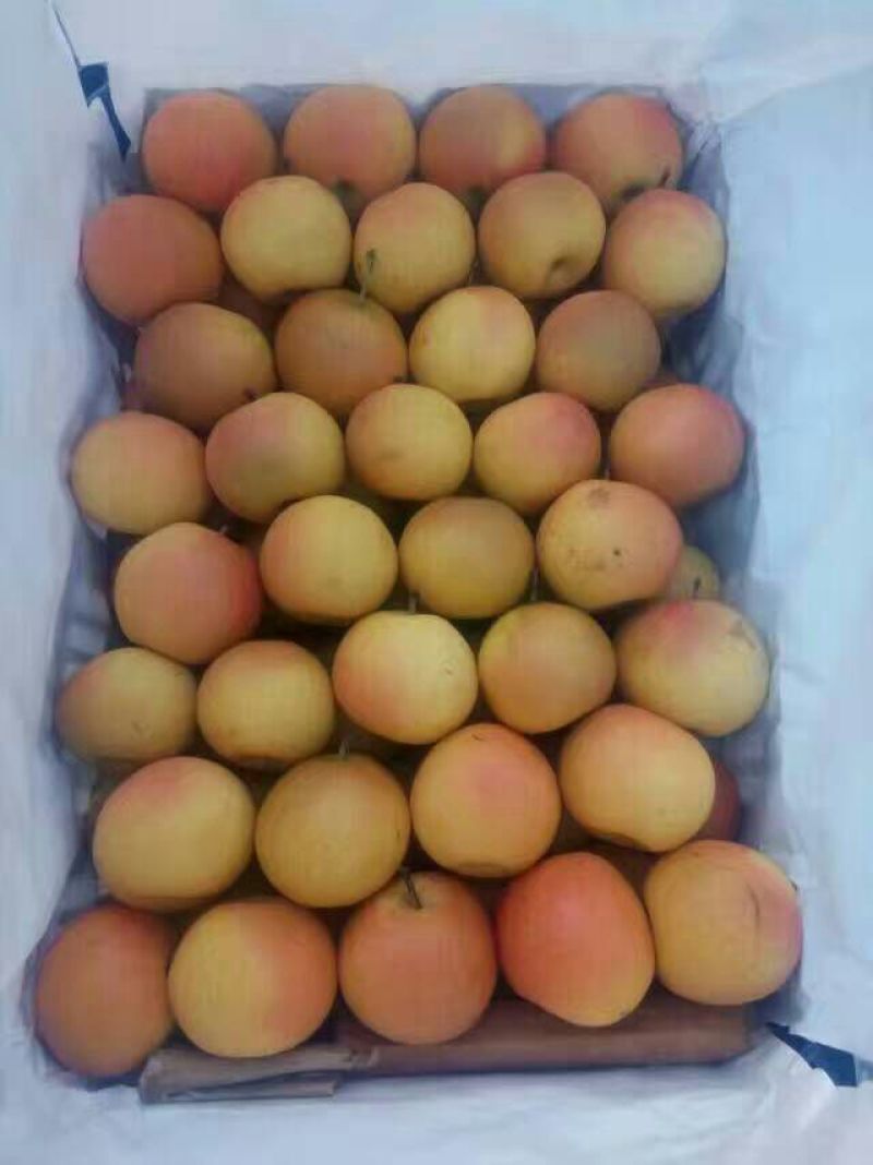 南果梨60~100g筐装