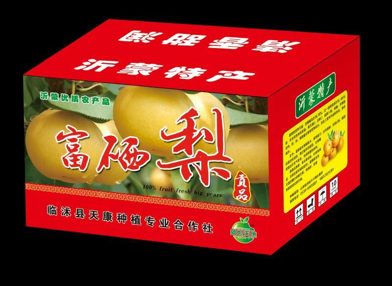 晚秋黄梨300~350g膜袋
