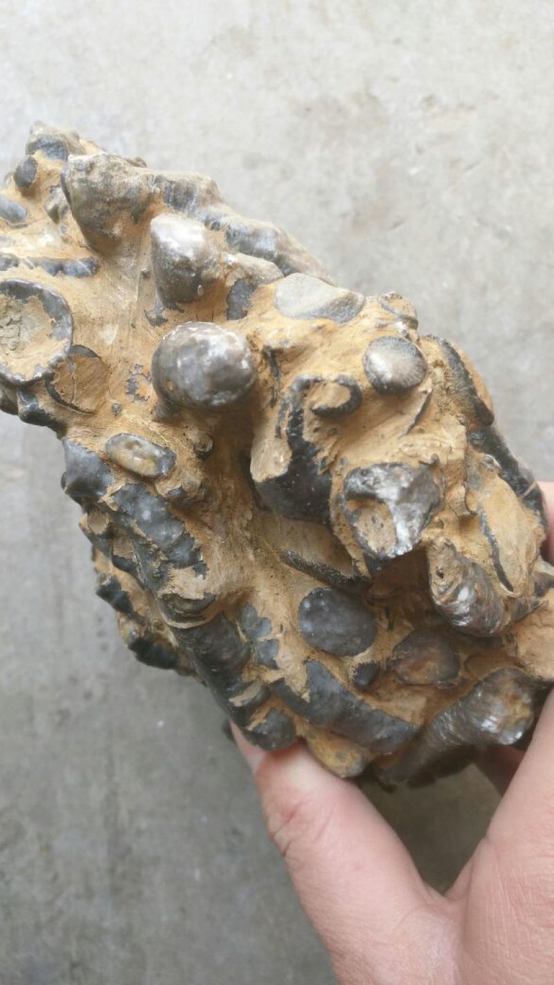 根雕茶台