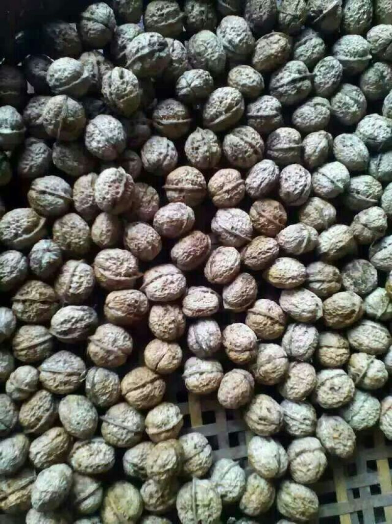 薄皮核桃去皮