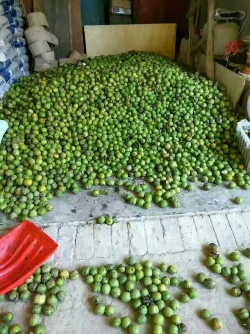 薄皮核桃30mm以上去皮干