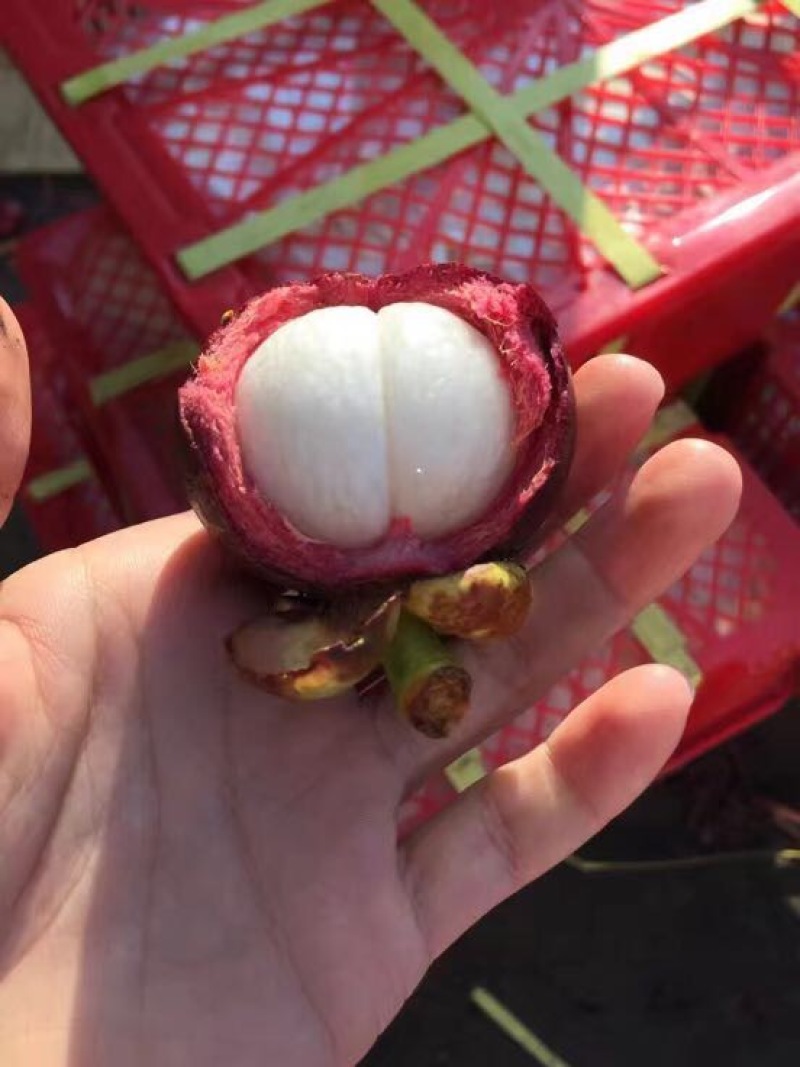 花竹果