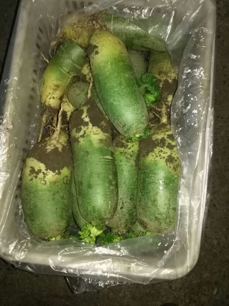 水果萝卜1~1.5斤起