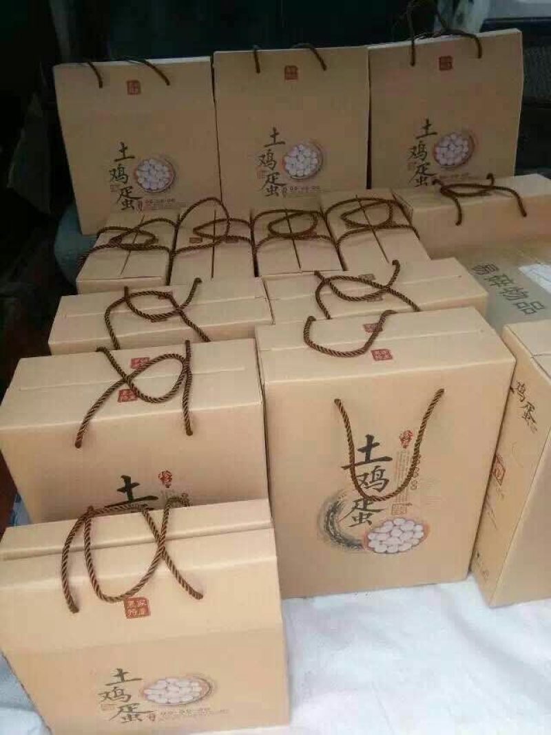 三黄鸡9~12月