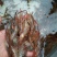河虾活虾16~20只/kg