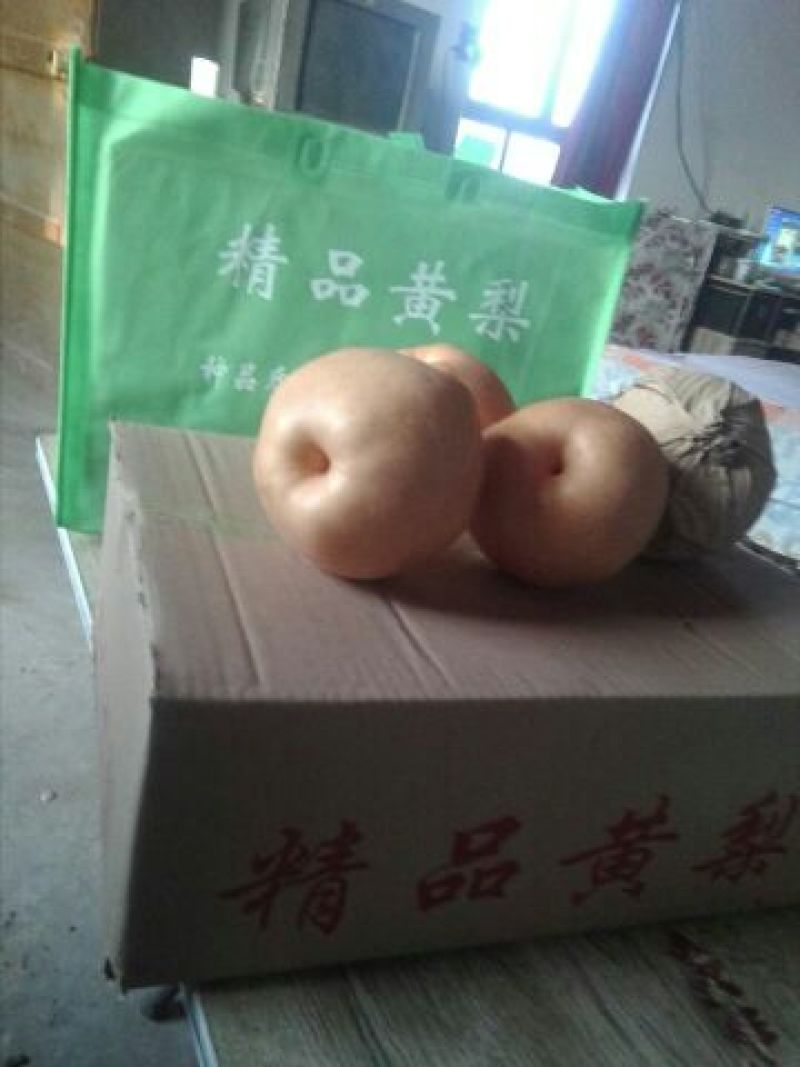 晚秋黄梨600g以上纸箱