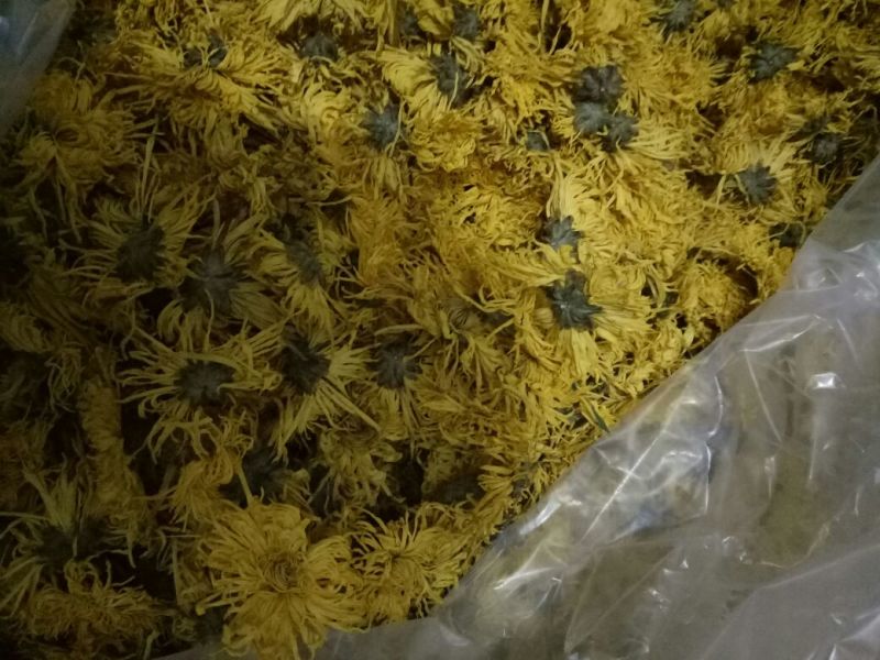 菊花茶