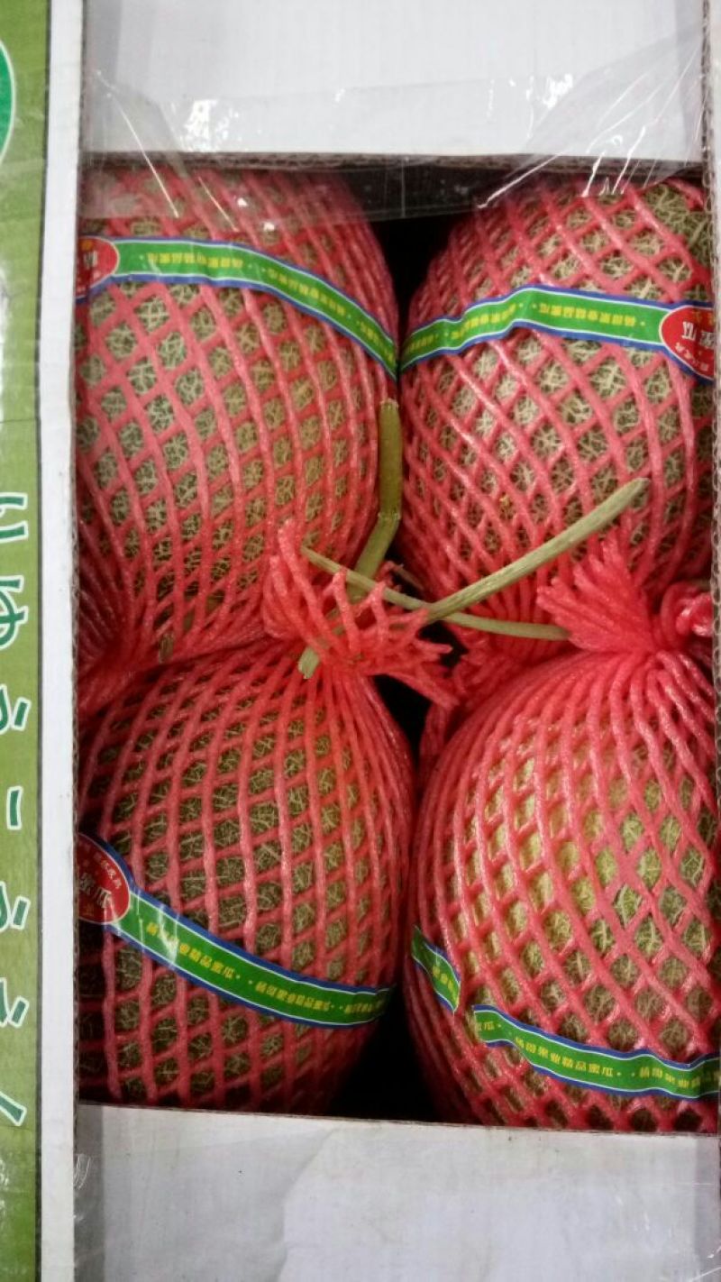 海南25号哈密瓜1斤以上椭圆形