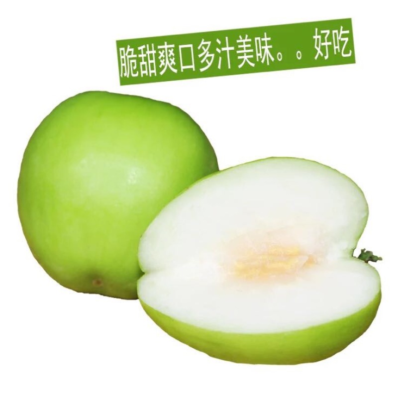 台湾大青枣30~40g