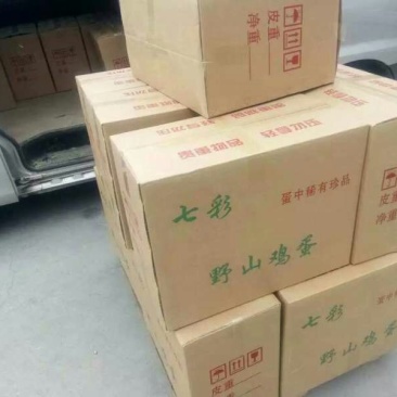野鸡蛋食用50g以下
