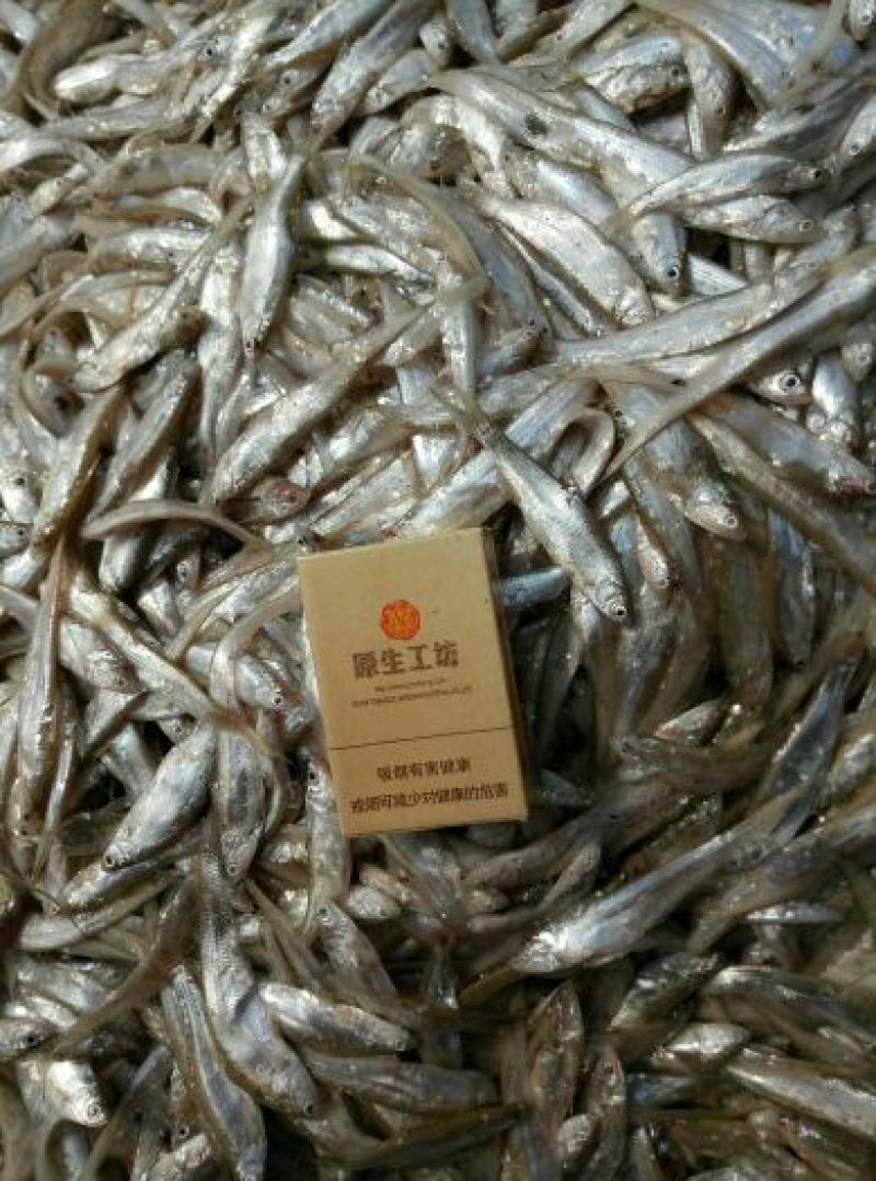 水库湖泊生态凤尾鱼翘嘴白鱼篮刀鱼冰鲜货冷冻的生晒干货等等