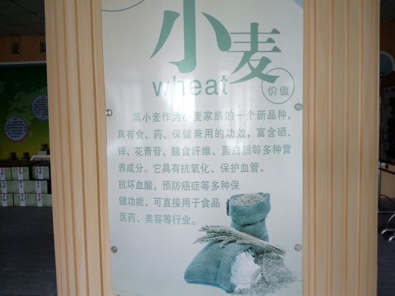 黑小麦面粉袋装