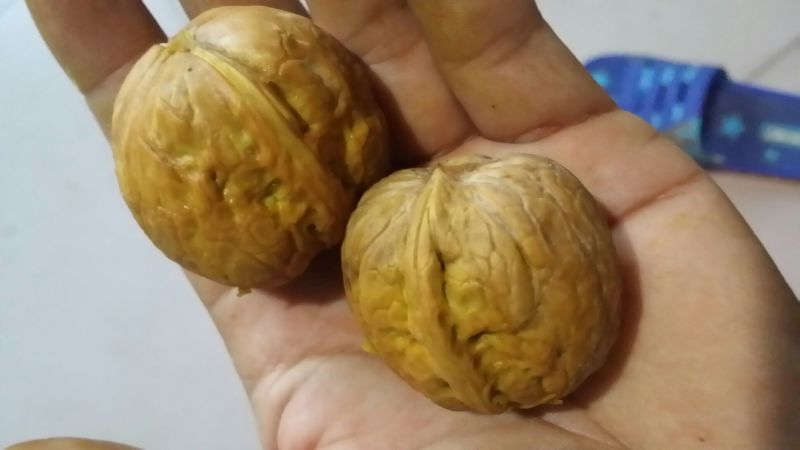 核桃去皮