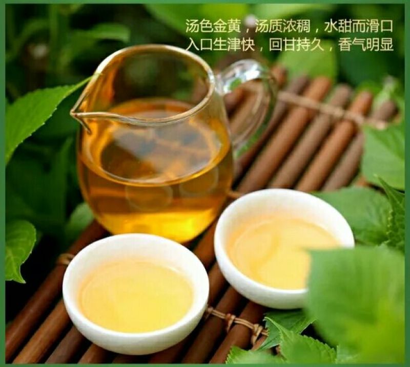 普洱茶