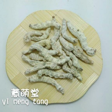 僵蚕