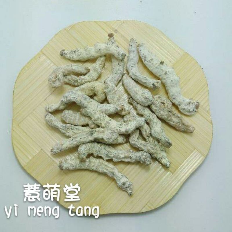 僵蚕