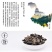 黑木耳一级