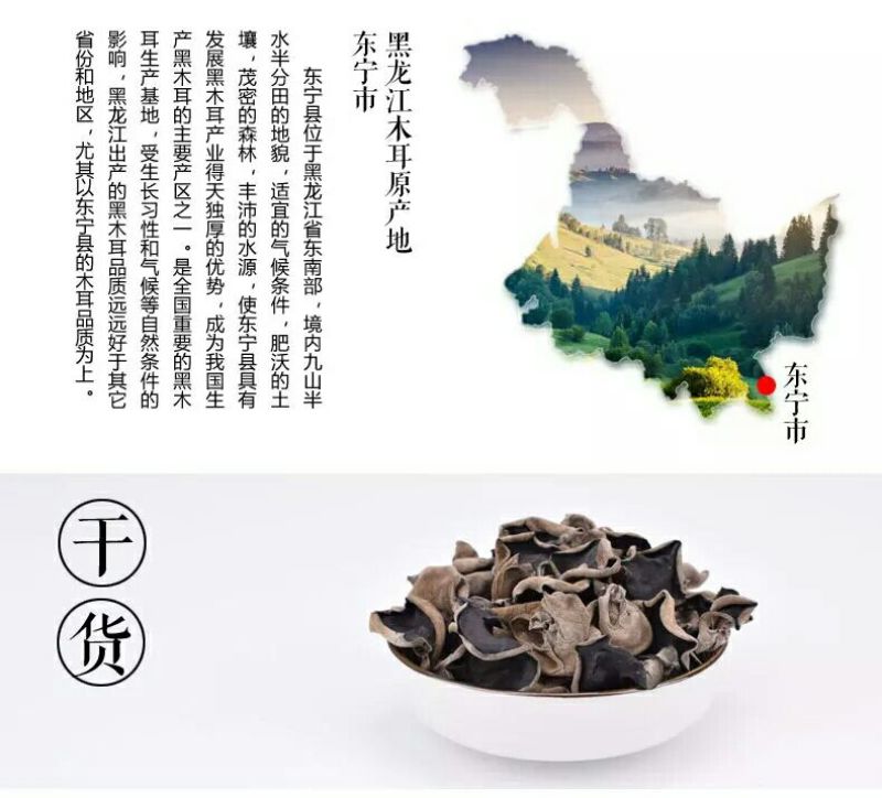 黑木耳一级
