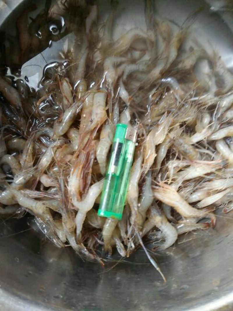 河虾冰鲜虾26~30只/kg
