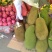 红皮红肉火龙果