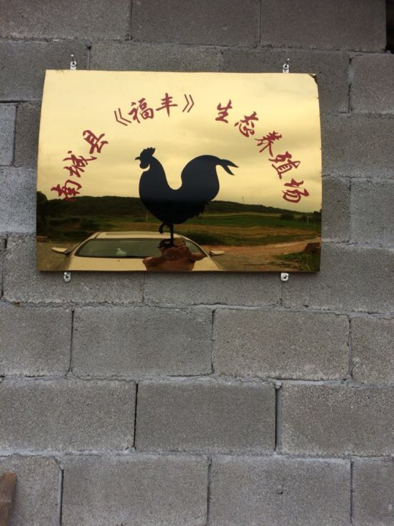 土鸡蛋