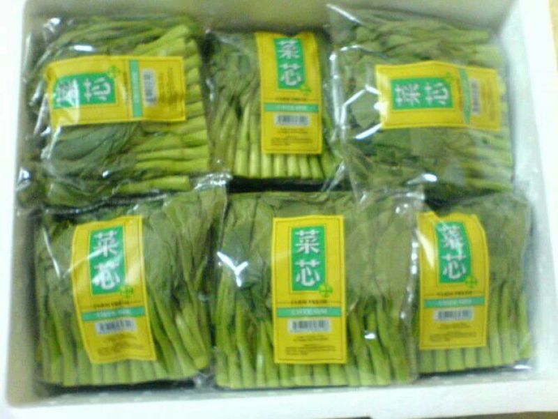 蔬菜