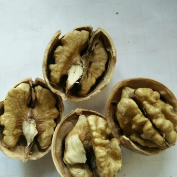 薄皮核桃去皮干