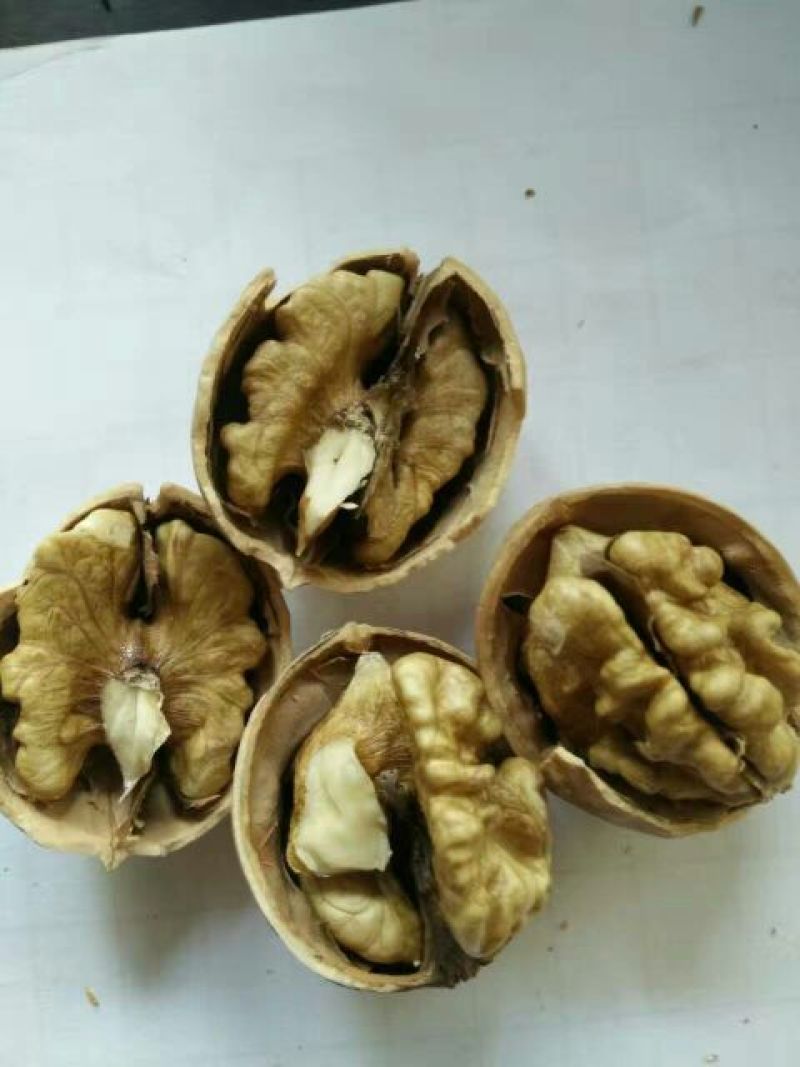 薄皮核桃去皮干
