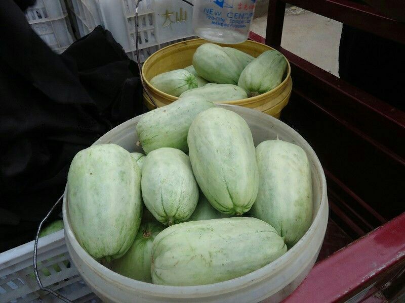 羊角蜜甜宝甜瓜0.5斤以上