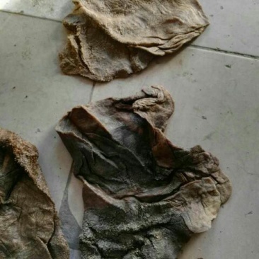 羊毛