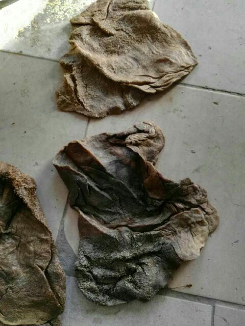羊毛