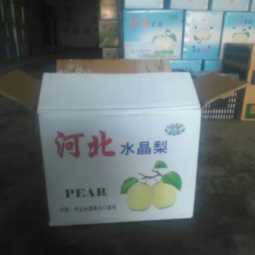 雪花梨