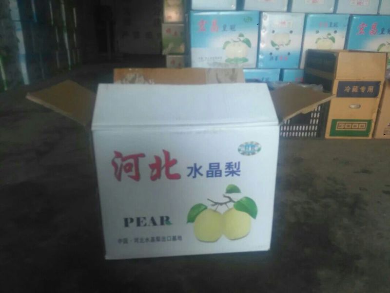 雪花梨